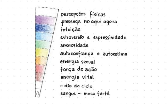 Aspectos para observar na mandala lunar: ícones & cores