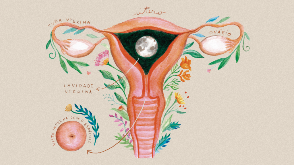 Menstruação e saúde: o ciclo menstrual como o 5º sinal vital