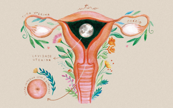 Menstruação e saúde: o ciclo menstrual como o 5º sinal vital