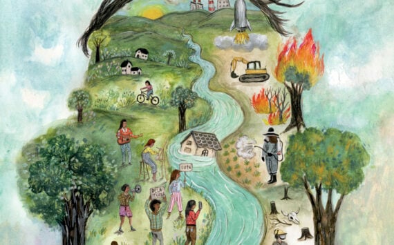Direitos da Terra e natureza como direito 