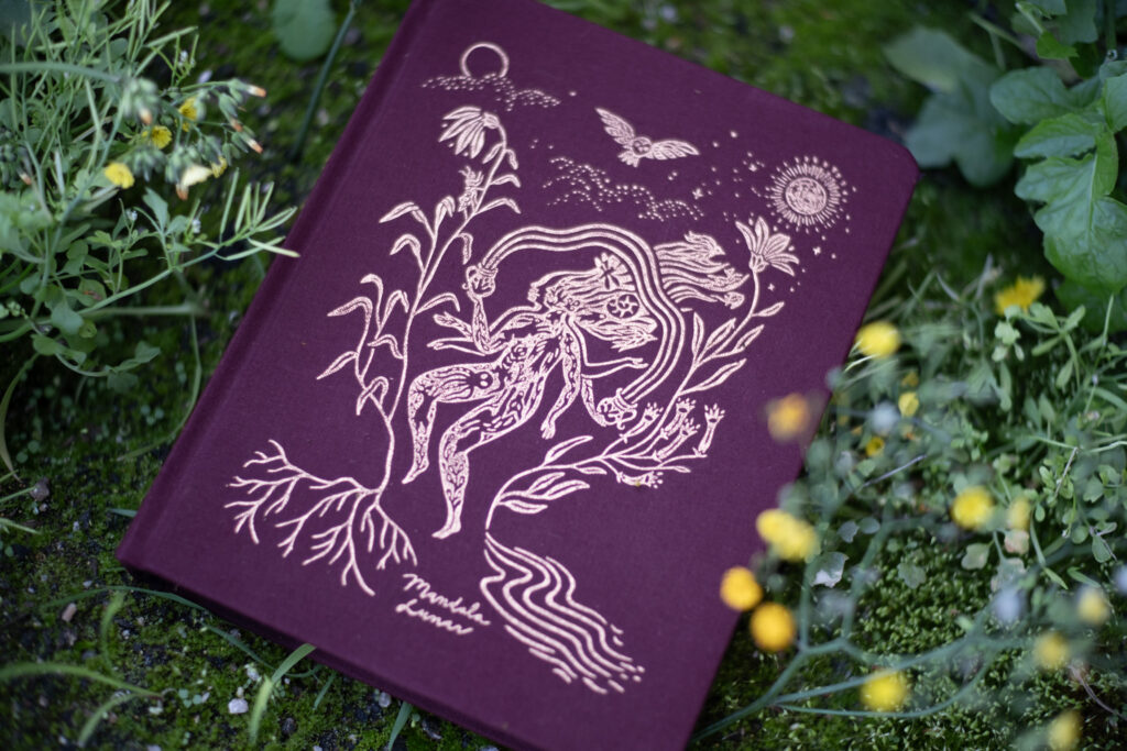 Manifesto Mandala Lunar 2026